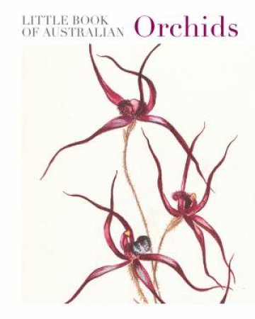 Little Book of Australian Orchids by National Library of Australia