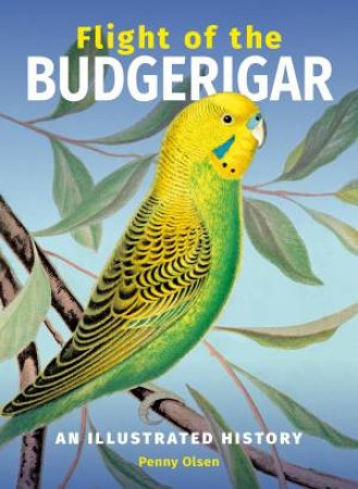 Flight Of The Budgerigar by Penny Olsen