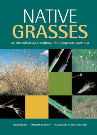 Native Grasses by Meredith Mitchell