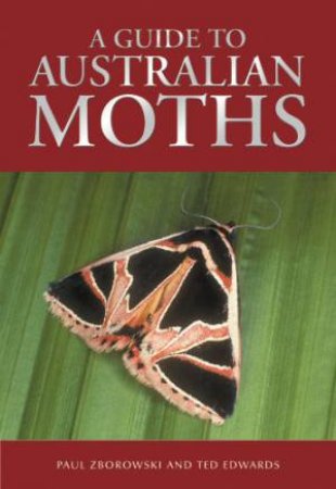 A Guide to Australian Moths by Paul Zborowski & Ted Edwards