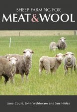 Sheep Farming for Meat and Wool