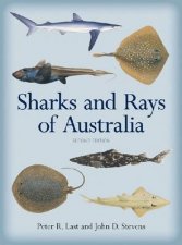 Sharks and Rays of Australia