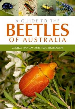A Guide to the Beetles of Australia by George Hangay & Paul Zborowski