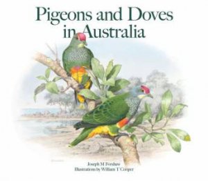 Pigeons And Doves In Australia by Joseph Forshaw & William T. Cooper