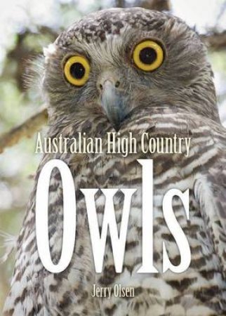 Australian High Country Owls by Jerry Olsen