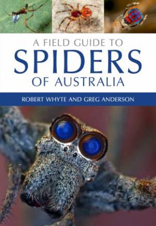 A Field Guide to Spiders of Australia by Robert Whyte & Greg Anderson