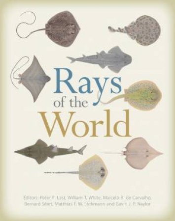 Rays Of The World by Various