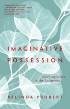 Imaginative Possession