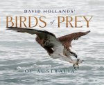 David Hollands Birds Of Prey Of Australia