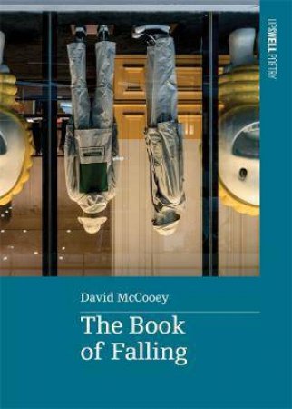 The Book Of Falling by David McCooey