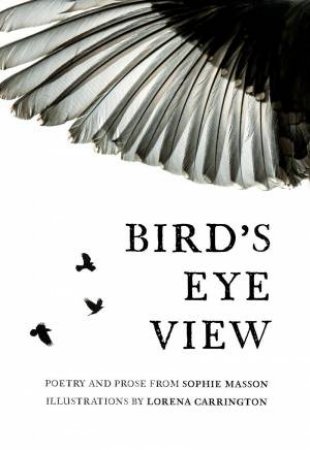 Bird's Eye View by SOPHIE MASSON