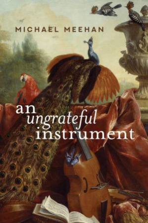 An Ungrateful Instrument by Michael Meehan