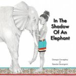 In The Shadow Of An Elephant