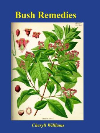 Bush Remedies by Cheryll Williams
