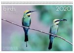 Birds Of Australia 2020 Wall Calendar