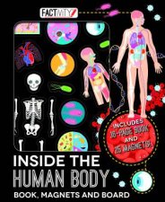Factivity  Magnetic Folder  Human Body