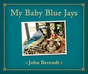 My Baby Blue Jays by John Berendt