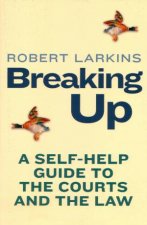 Breaking Up A SelfHelp Guide to the Courts and the Law