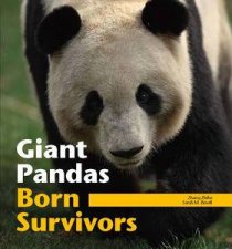 Giant Pandas Born Survivors