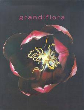 Grandiflora by Saskia Havekes