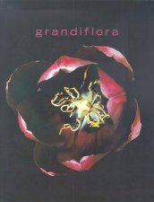 Grandiflora