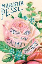 Special Topics In Calamity Physics