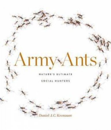 Army Ants by Daniel J. C. Kronauer