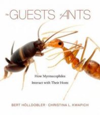 The Guests Of Ants