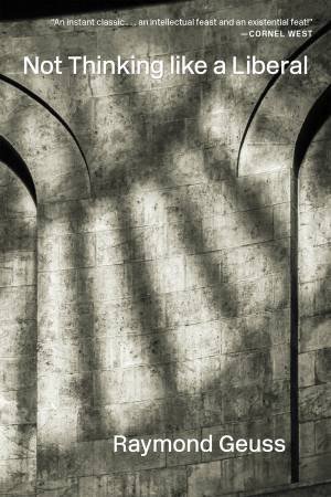 Not Thinking like a Liberal by Raymond Geuss