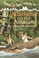 Afternoon On The Amazon