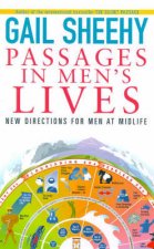 Passages In Mens Lives New Directions For Men At Midlife