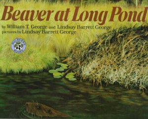 Beaver At Long Pond by William George & Lindsay Barrett George