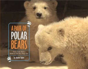 A Pair Of Polar Bears by Joanne Ryder