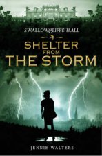 Shelter From The Storm