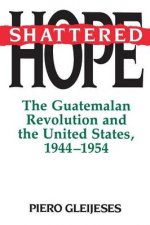 Shattered Hope