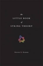 The Little Book Of String Theory