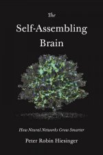 The SelfAssembling Brain
