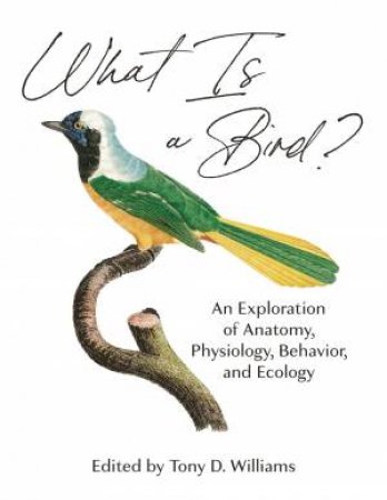 What Is A Bird? by Tony D. Williams