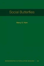 Social Butterflies