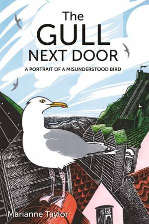 The Gull Next Door by Marianne Taylor & David Lindo