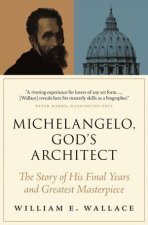 Michelangelo Gods Architect