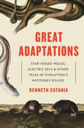Great Adaptations by Kenneth Catania