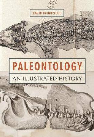 Paleontology by David Bainbridge