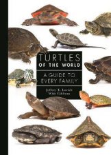 Turtles Of The World