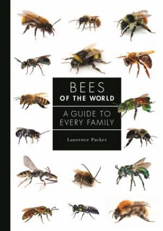 Bees of the World by Laurence Packer