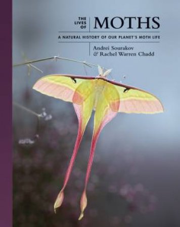 The Lives Of Moths by Andrei Sourakov & Rachel Warren Chadd