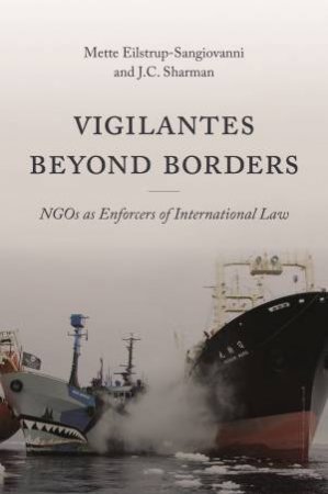 Vigilantes beyond Borders by Mette Eilstrup-Sangiovanni & J C Sharman
