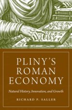 Plinys Roman Economy