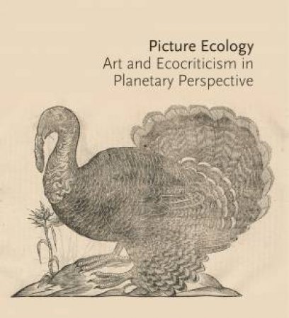 Picture Ecology by Karl Kusserow & Alan C. Braddock & Maura Coughlin & Rachael Z. DeLue & T. J. Demos & Mo´nica Domi´nguez Torres & Finis Dunaway & Stephen F. Eisenman & Emily Gephart & Karl Kusserow & De-nin D. Lee & G