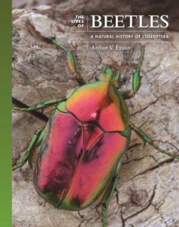 The Lives of Beetles by Arthur V. Evans